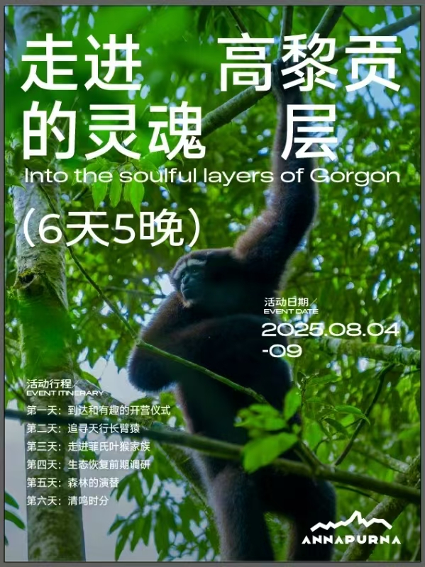暑期探秘 | 云南高黎贡树冠秘境与野生灵长类观察 - image 3