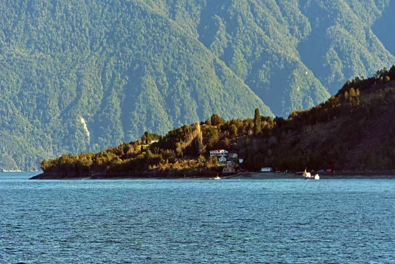 贝加尔湖森林拯救计划 - image 8